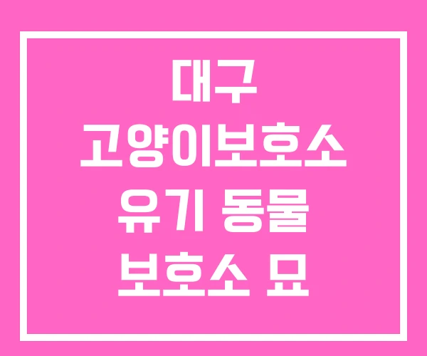 대구 고양이보호소 유기 동물 보호소 묘