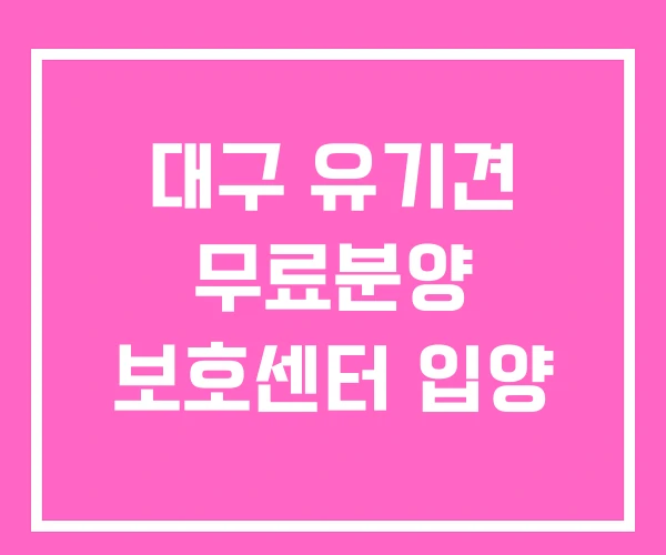 대구 유기견 무료분양 보호센터 입양 대구 유기견 무료분양 보호센터 입양