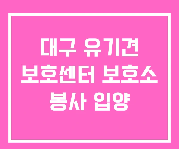 대구 유기견 보호센터 보호소 봉사 입양