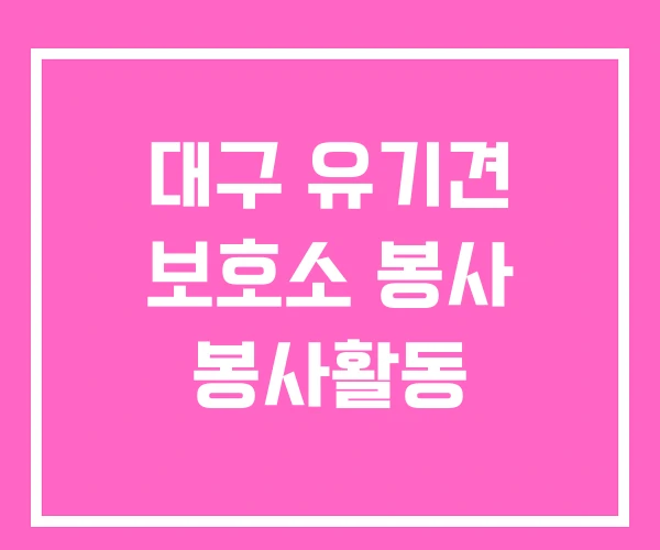 대구 유기견 보호소 봉사 봉사활동 대구 유기견 보호소 봉사 봉사활동