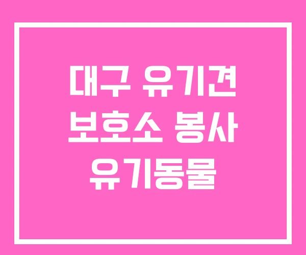 대구 유기견 보호소 봉사 유기동물 대구 유기견 보호소 봉사 유기동물