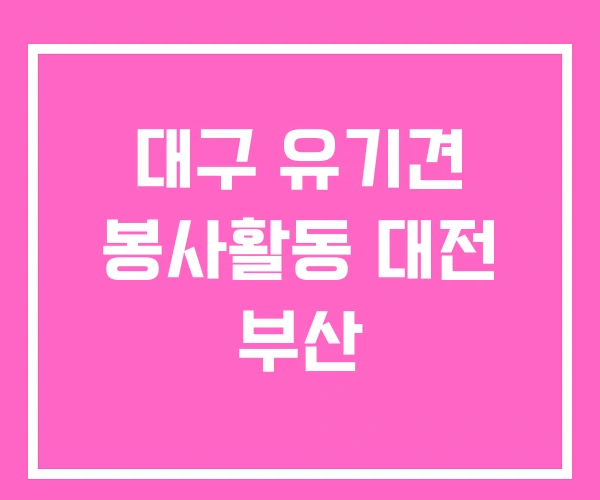 대구 유기견 봉사활동 대전 부산