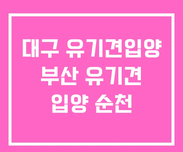 대구 유기견입양 부산 유기견 입양 순천