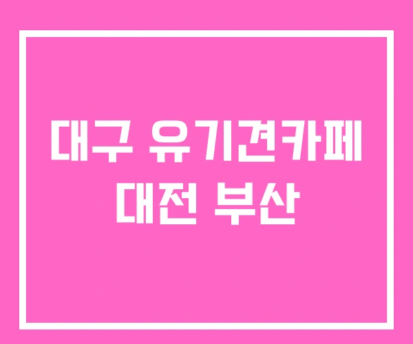 대구 유기견카페 대전 부산