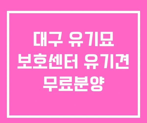 대구 유기묘 보호센터 유기견 무료분양