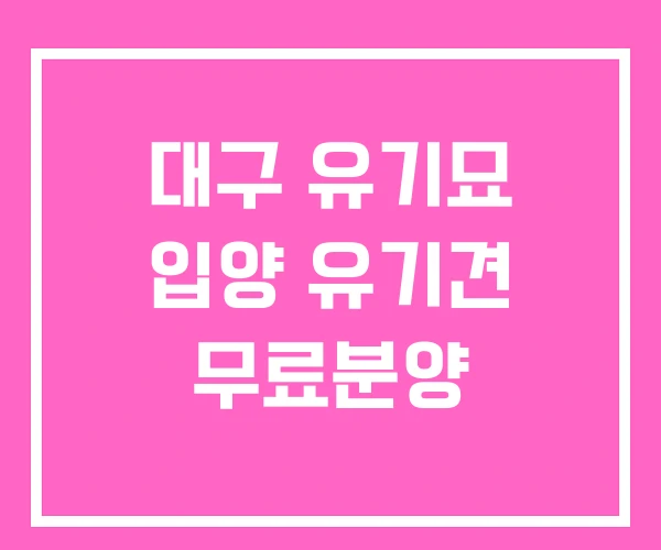 대구 유기묘 입양 유기견 무료분양