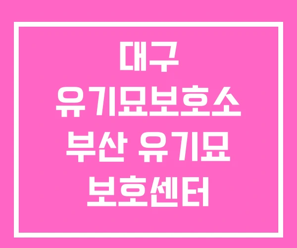 대구 유기묘보호소 부산 유기묘 보호센터 대구 유기묘보호소 부산 유기묘 보호센터