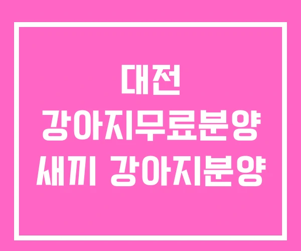 대전 강아지무료분양 새끼 강아지분양 대전 강아지무료분양 새끼 강아지분양