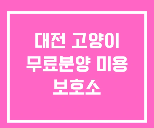 대전 고양이 무료분양 미용 보호소