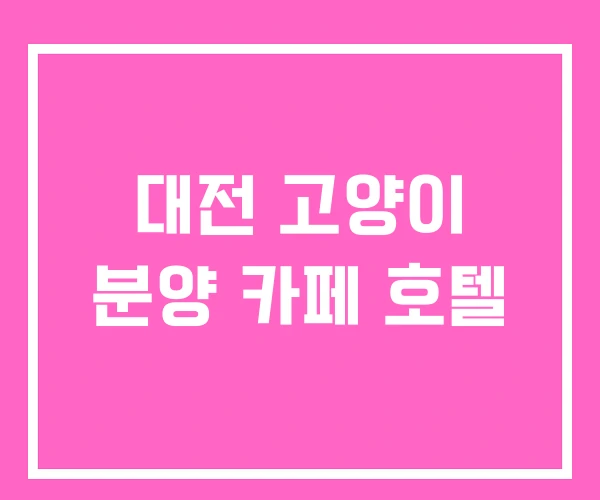 대전 고양이 분양 카페 호텔