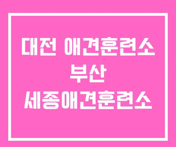 대전 애견훈련소 부산 세종애견훈련소