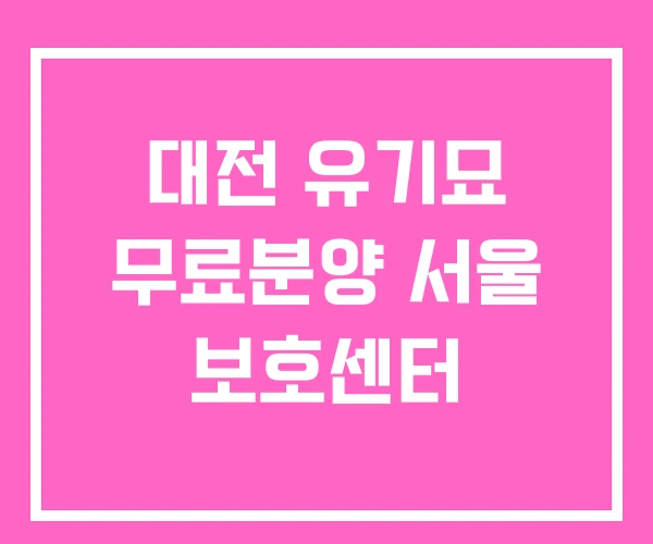 대전 유기묘 무료분양 서울 보호센터 대전 유기묘 무료분양 서울 보호센터