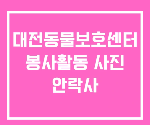 대전동물보호센터 봉사활동 사진 안락사