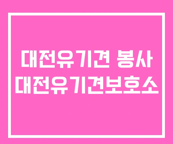 대전유기견 봉사 대전유기견보호소 대전유기견 봉사 대전유기견보호소