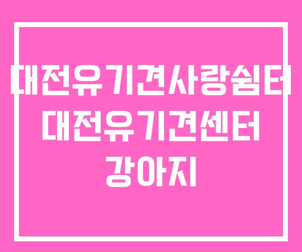 대전유기견사랑쉼터 대전유기견센터 강아지 대전유기견사랑쉼터 대전유기견센터 강아지