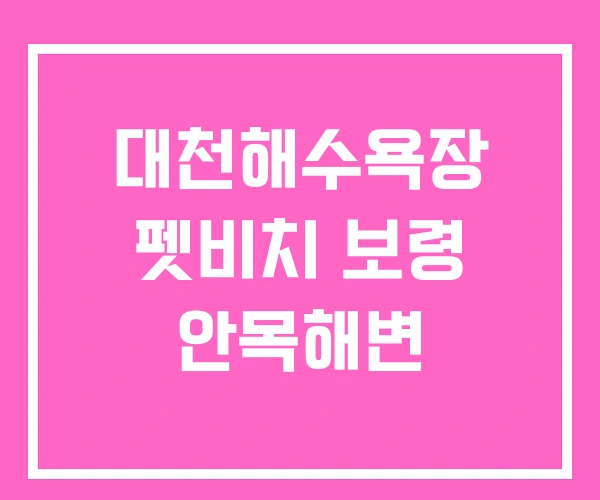 대천해수욕장 펫비치 보령 안목해변 대천해수욕장 펫비치 보령 안목해변