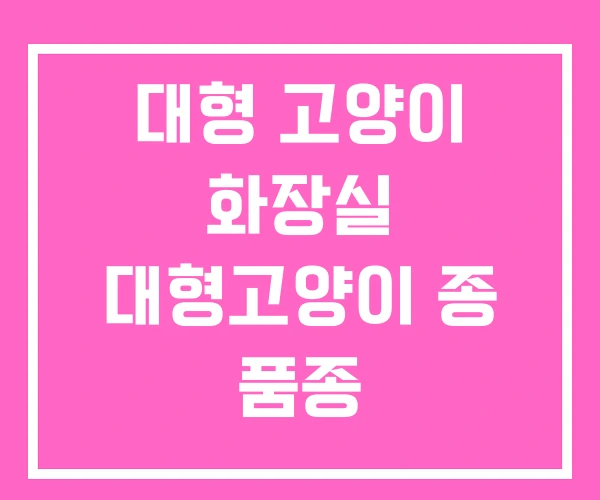 대형 고양이 화장실 대형고양이 종 품종