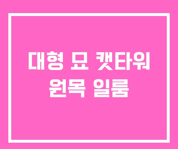 대형 묘 캣타워 원목 일룸 대형 묘 캣타워 원목 일룸