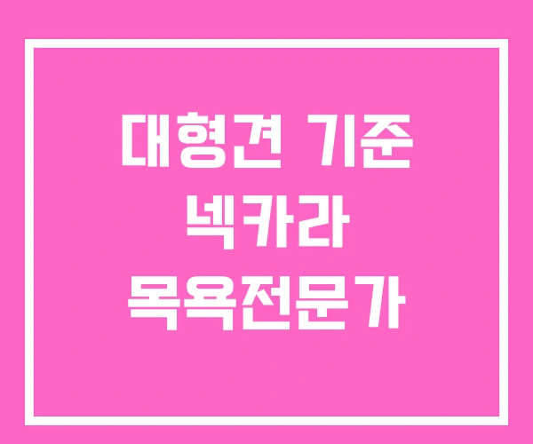대형견 기준 넥카라 목욕전문가