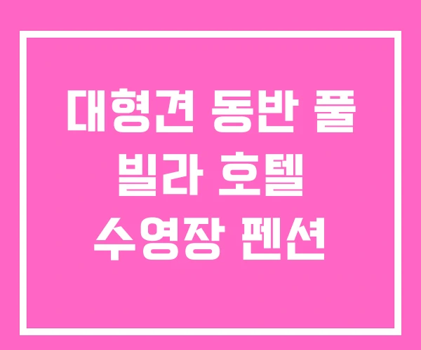 대형견 동반 풀 빌라 호텔 수영장 펜션 대형견 동반 풀 빌라 호텔 수영장 펜션