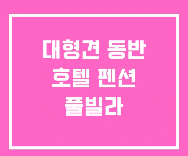 대형견 동반 호텔 펜션 풀빌라