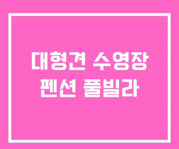 대형견 수영장 펜션 풀빌라