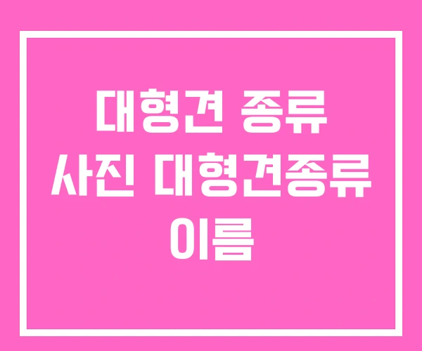 대형견 종류 사진 대형견종류 이름
