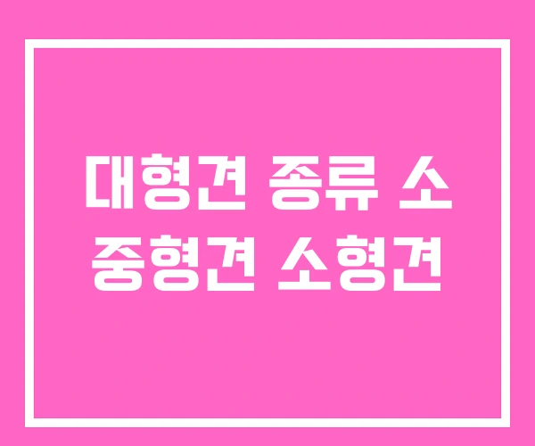 대형견 종류 소 중형견 소형견 대형견 종류 소 중형견 소형견