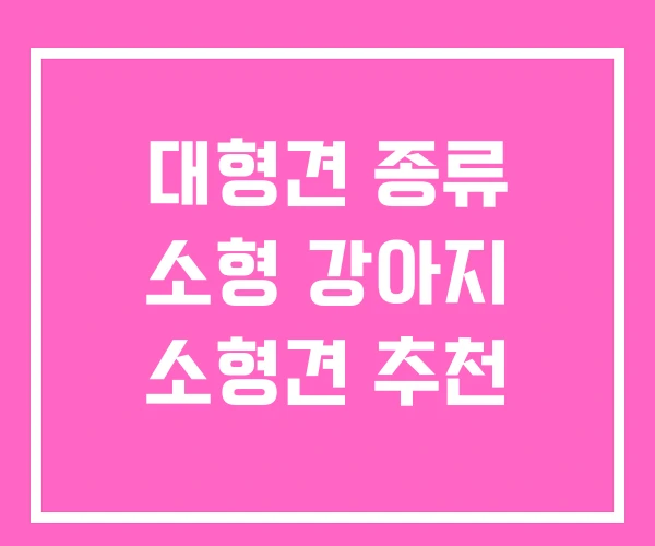 대형견 종류 소형 강아지 소형견 추천 대형견 종류 소형 강아지 소형견 추천