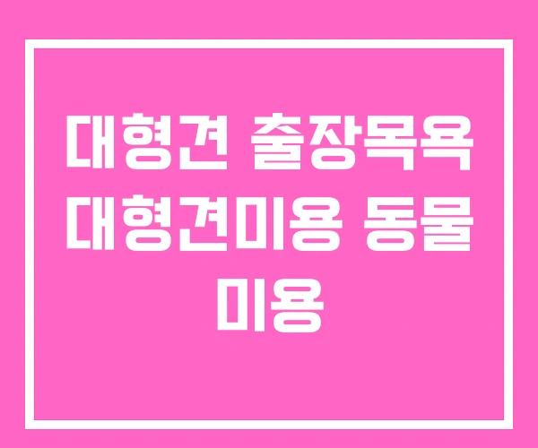 대형견 출장목욕 대형견미용 동물 미용 대형견 출장목욕 대형견미용 동물 미용