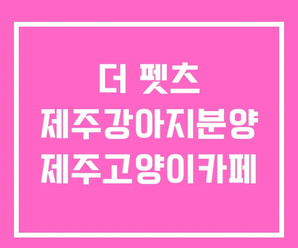 더 펫츠 제주강아지분양 제주고양이카페