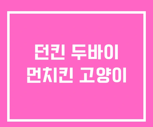 던킨 두바이 먼치킨 고양이