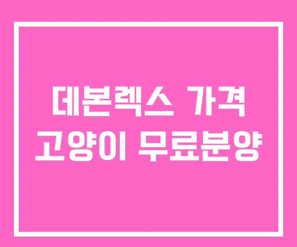 데본렉스 가격 고양이 무료분양