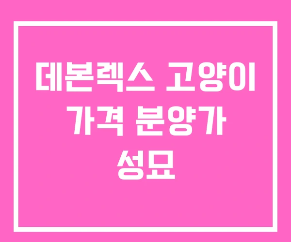 데본렉스 고양이 가격 분양가 성묘