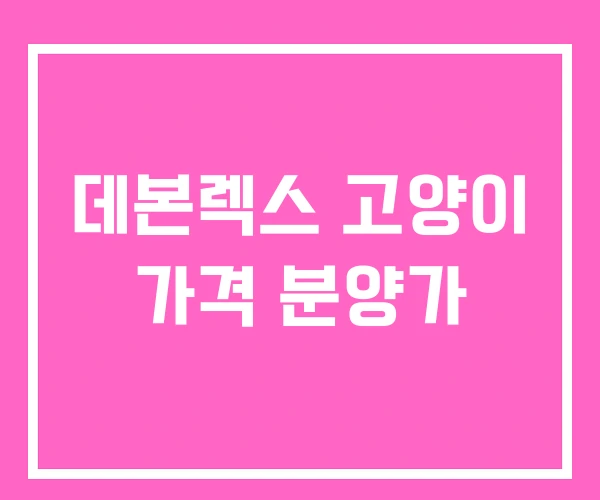 데본렉스 고양이 가격 분양가