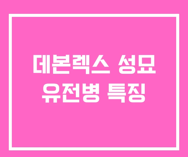 데본렉스 성묘 유전병 특징 데본렉스 성묘 유전병 특징