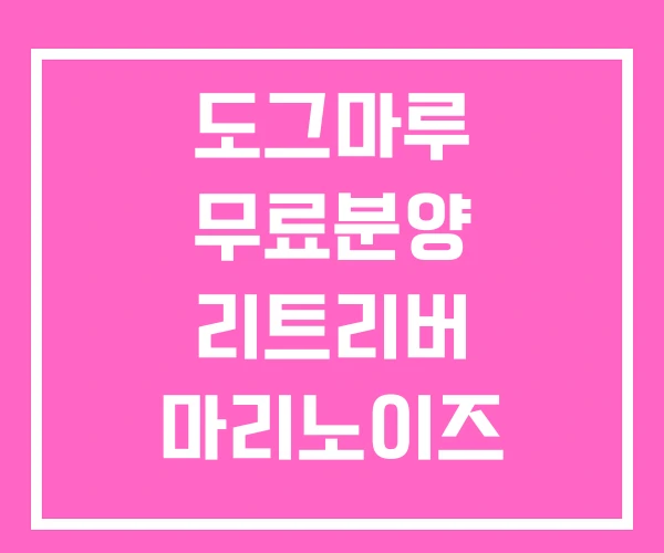 도그마루 무료분양 리트리버 마리노이즈