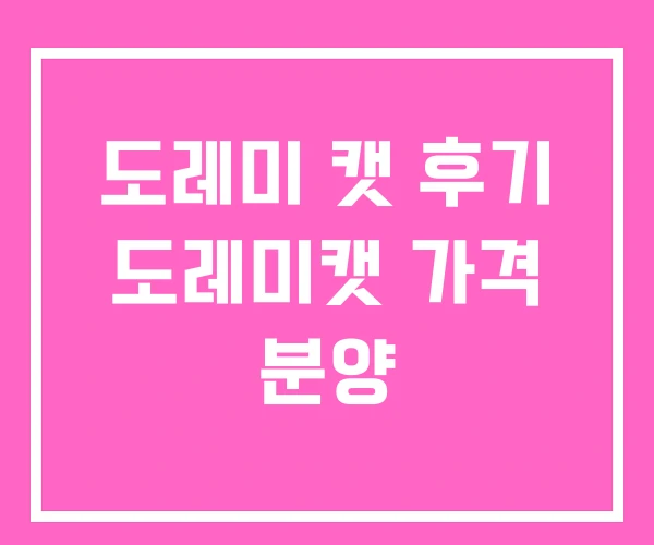 도레미 캣 후기 도레미캣 가격 분양