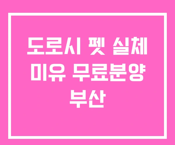 도로시 펫 실체 미유 무료분양 부산