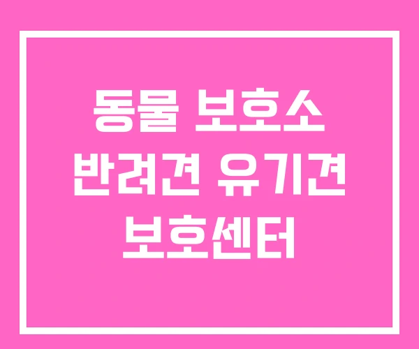 동물 보호소 반려견 유기견 보호센터
