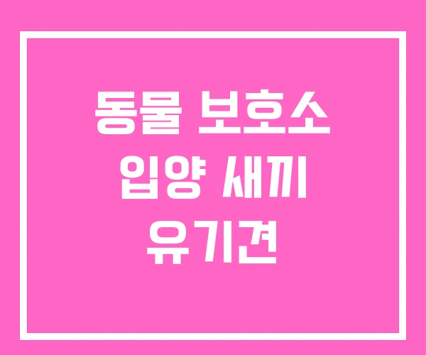 동물 보호소 입양 새끼 유기견 동물 보호소 입양 새끼 유기견