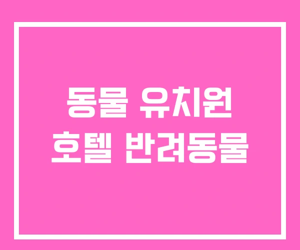 동물 유치원 호텔 반려동물