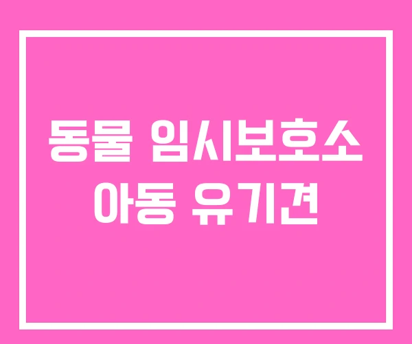 동물 임시보호소 아동 유기견 동물 임시보호소 아동 유기견