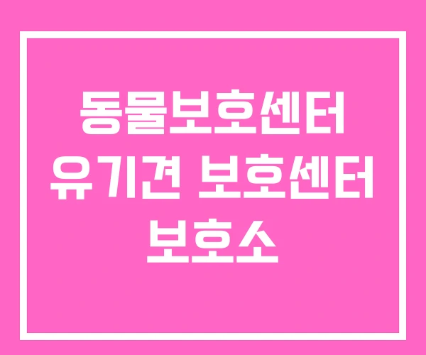 동물보호센터 유기견 보호센터 보호소