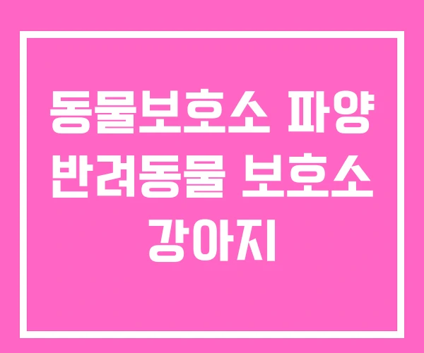 동물보호소 파양 반려동물 보호소 강아지 동물보호소 파양 반려동물 보호소 강아지
