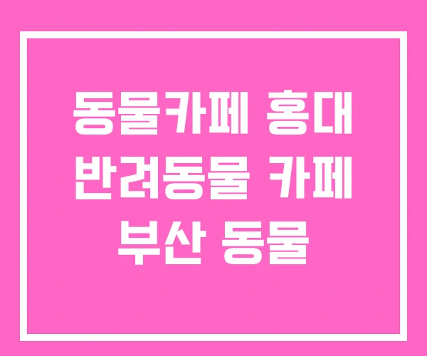 동물카페 홍대 반려동물 카페 부산 동물