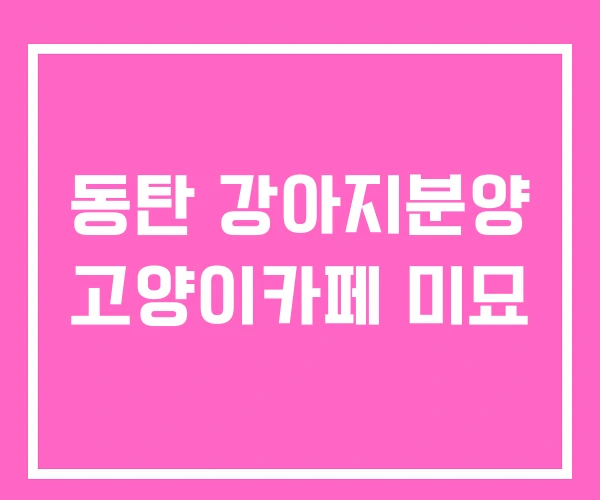 동탄 강아지분양 고양이카페 미묘