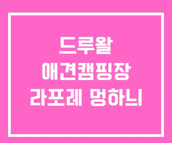 드루왈 애견캠핑장 라포레 멍하늬