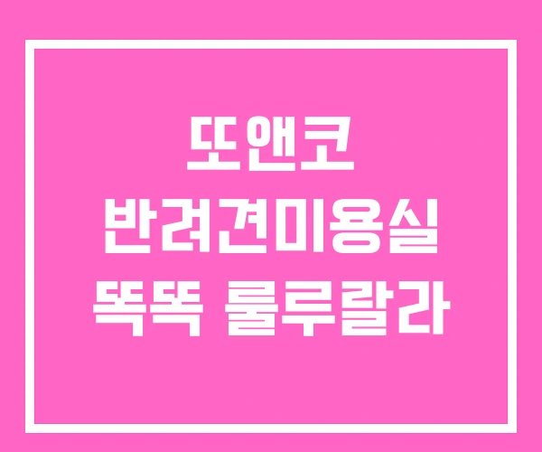 또앤코 반려견미용실 똑똑 룰루랄라 또앤코 반려견미용실 똑똑 룰루랄라