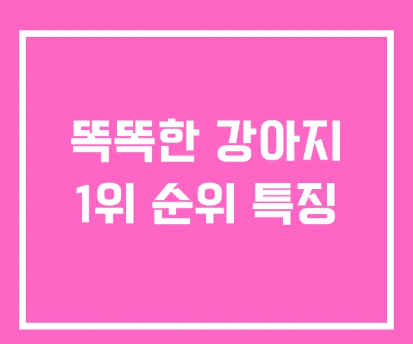 똑똑한 강아지 1위 순위 특징